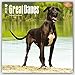Great Danes (Intl) 2016 Square 12x12