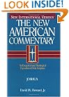 The New American Commentary Volume 5 - Joshua