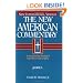 The New American Commentary Volume 5 - Joshua