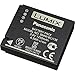 Panasonic DMW-BCJ13 Battery for DMC-LX5