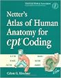 Netter's Atlas of Human Anatomy for CPT  Coding