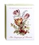 Boston International Metropolitan Museum Of Art Boxed Note Cards: Language Of Flowers