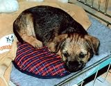 Lenric C21 Ltd Snugglesafe Microwaveable Pet/Dog Heatpad & Cover