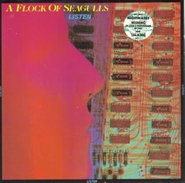 A Flock Of Seagulls Foto 2