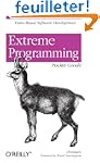 Extreme Programming Pocket Guide (en...