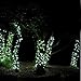 Lycheers 10m 32.8ft 100 led RGB Fairy string Light for Outdoor, Gardens, Homes, Christmas Party (Multicolor)