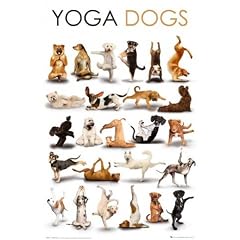 1art1 50112 Hunde - Yoga, Heraufschauender Hund, Herabschauender Hund Poster 91 x 61 cm