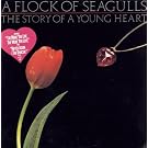 The Story Of A Young Heart