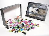 Photo Jigsaw Puzzle of Dog - Golden Retriever sitting down behind bars from Ardea Wildlife Pets