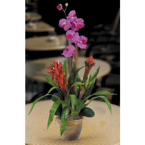 Double Bromeliad/Orchid Combo Silk Orchid Arrangement