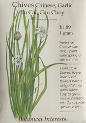 Garlic Chives Seeds 400 Seeds