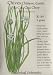 Garlic Chives Seeds 400 Seeds
