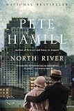 North River: A Novel