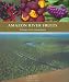 Amazon River Fruits: Flavors for Conservation
