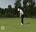 Tiger Woods PGA Tour 10 image 2