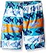 Kids Headquarters Boys' Little 2 Piece Set-Graphic Tank Top with Swim Short
