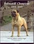 Bullmastiff Champions, 2004-2007