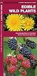 Edible Wild Plants: An Introduction to Familiar North American Species (North American Nature Guides)
