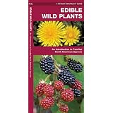Edible Wild Plants: An Introduction to Familiar North American Species (North American Nature Guides)