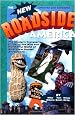 New Roadside America: The Modern Traveler's Guide to the Wild and Wonderful World of America's Tourist