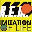 Imitation of Life