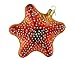 Old World Christmas Ornaments: Starfish Glass Blown Ornaments for Christmas Tree (12040)