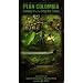 Plan Colombia: Cashing in on the Drug War Failure