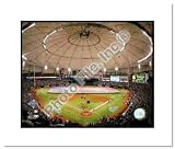 2008 Tropicana Field Tampa Bay Rays MLB Double Matted 8x10 Photograph 2008 World Series Game 1 Flag