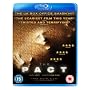 The Pact [Blu-ray] <b>Blu-ray</b> ~ Caity Lotz