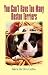 boston_terrier32boston terrier - YOU CANT HAVE TOO MANY BOSTON TERRIERS