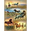 Horse Cameos 1500pc Jigsaw Puzzle by Persis Clayton Weirs