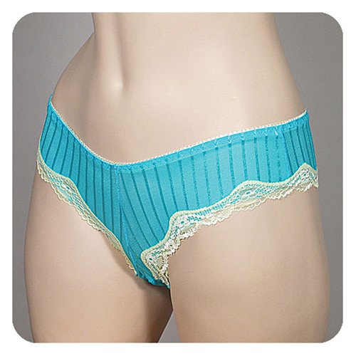 2 Pack Lot of Lace Trim Hipster Bikini Panties [Apparel]