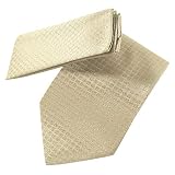 New Mens Champagne Gold Tie Necktie Hanky Set