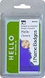 Charles Leonard Labels - Name Badge - 3-3/8" x 2-1/4" - Hello My Name Is - Green - 100/Box, 93525