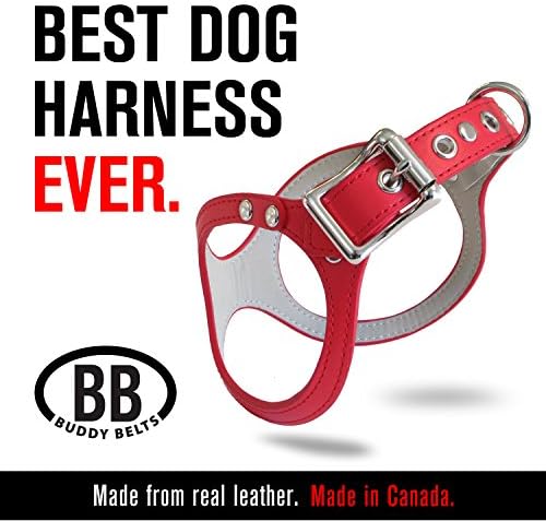 ORIGINAL DURABLE Buddy Belt Classic LEATHER Dog Harness (Red, Size 3)