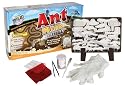 Wild Science Ant Mine