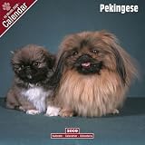 2009 Pekingese Wall Calendar