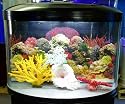 16 gallon Half Circle Aquarium with light and filter