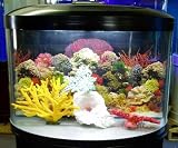 Pet Supplies : 16 gallon Half Circle Aquarium with light and filter