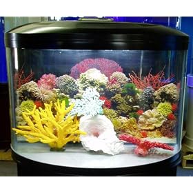 16 gallon Half Circle Aquarium with light and filter