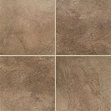 Mohawk Paradiso 20 x 20 Brun Ceramic Tile