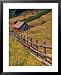 Barn on Last Dollar Road near Telluride, Colorado, USA Framed Art Poster Print by Jul...