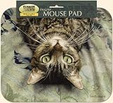 Perculiar Perspective Cat Mouse Pad