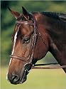 Heritage Running Martingale