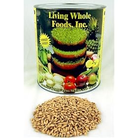 Organic Barley Seeds - 4.5 Lbs - Unhulled Barleygrass Seed - Ornamental Barley Grass, Barley Grass for Juicing - Grain for Beer Making, Emergency Food Storage & More.