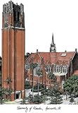 Florida Gators Tower Unframed Lithograph
