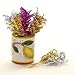 LIMONI: Party Picks Tumbler Holder (25 Frilled Picks included) [#1039-LIM]