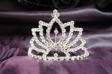 Beautiful Bridal Wedding Tiara Crown with Crystal Leaf Party Accessories DH15122