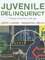 Juvenile Delinquency: Theory, Practice, and Law