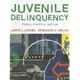 Juvenile Delinquency: Theory, Practice, and Law